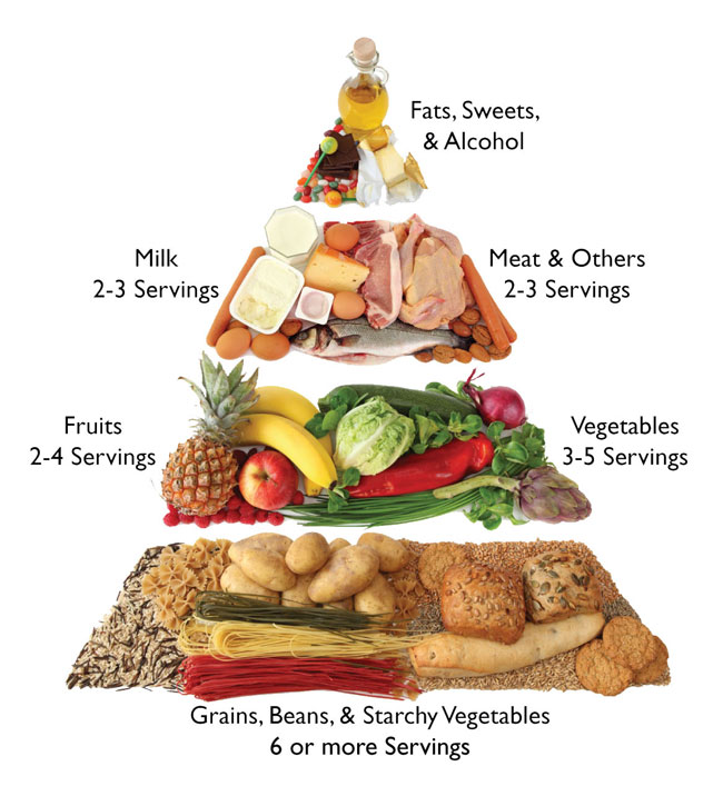 calories Intake per day
