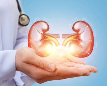 Kidney Function Test (KFT)in pune